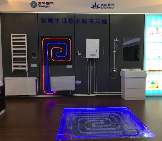 港华燃气在2018.10中国燃博会上展示艾莱卡冷凝壁挂炉.png